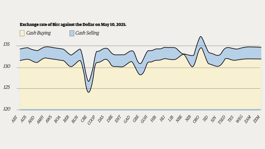 Birr's Gentle Drift Shows Banks Divergent Forex Strategies, Market Strain